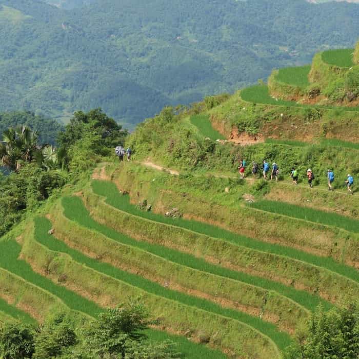 randonnée rizières en terrasses