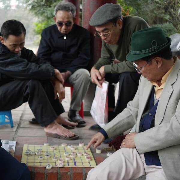 culture vivante culture vivante